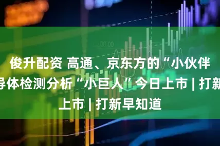 俊升配资 高通、京东方的“小伙伴”，半导体检测分析“小巨人”今日上市 | 打新早知道
