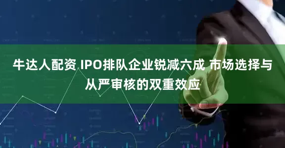 牛达人配资 IPO排队企业锐减六成 市场选择与从严审核的双重效应