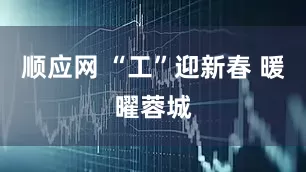 顺应网 “工”迎新春 暖曜蓉城